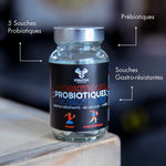 STRATON PROBIOTIQUES Straton Nutrition