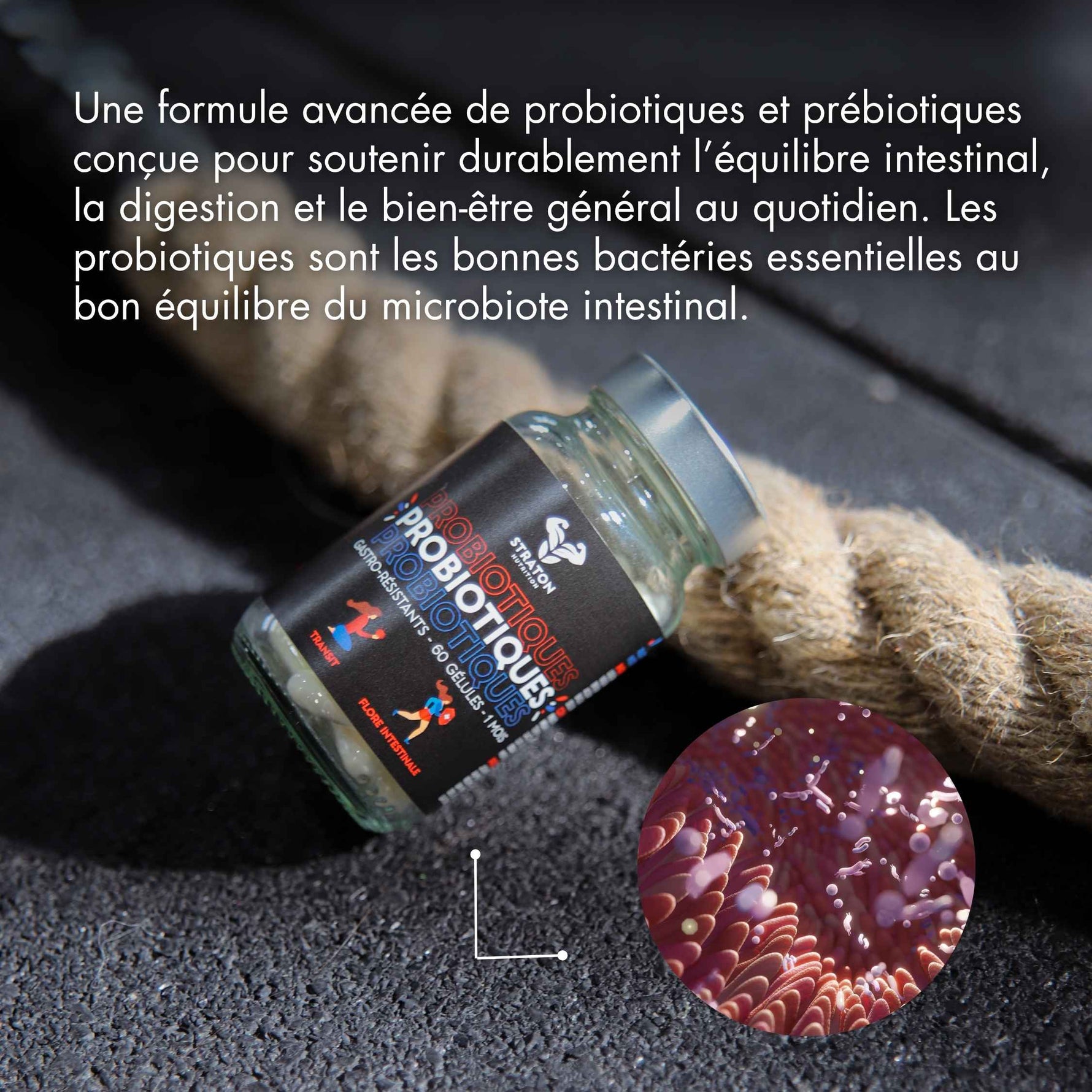 STRATON PROBIOTIQUES Straton Nutrition